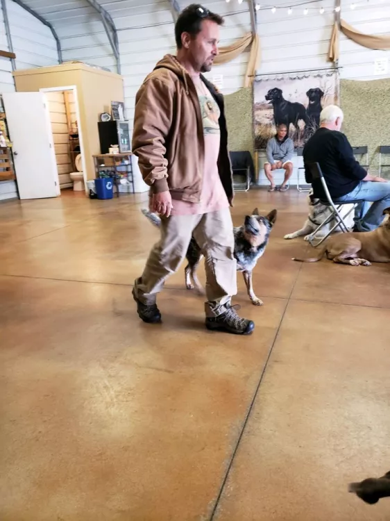 Thriving Canine, California, Gilroy